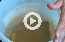 Watch a video